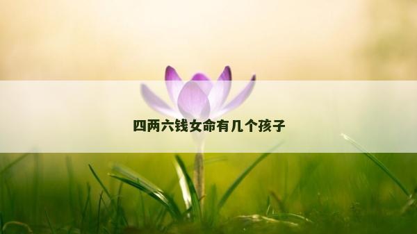 四兩六錢女命有幾個孩子