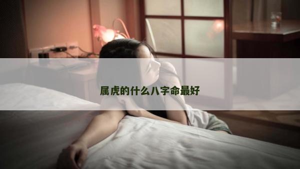 屬虎的什么八字命最好