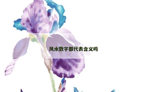 風(fēng)水?dāng)?shù)字都代表含義嗎