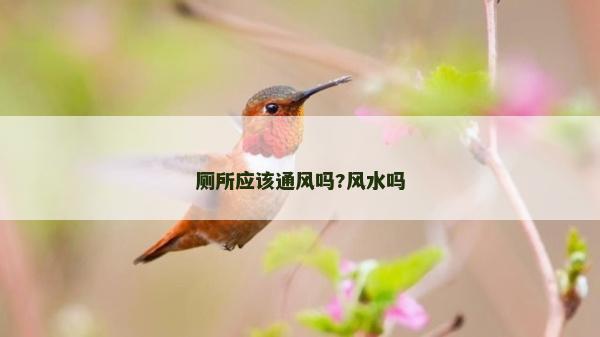 廁所應該通風嗎?風水嗎