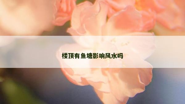 樓頂有魚塘影響風(fēng)水嗎