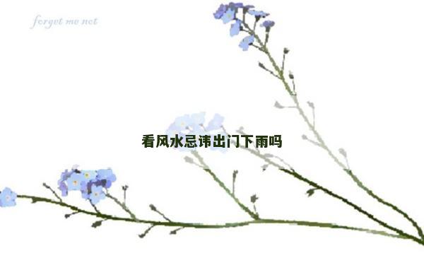 看風水忌諱出門下雨嗎
