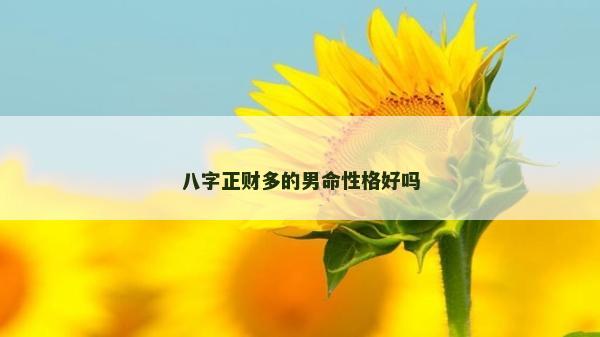 八字正財多的男命性格好嗎