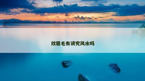 紋眉毛有講究風水嗎