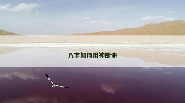 八字如何用神斷命