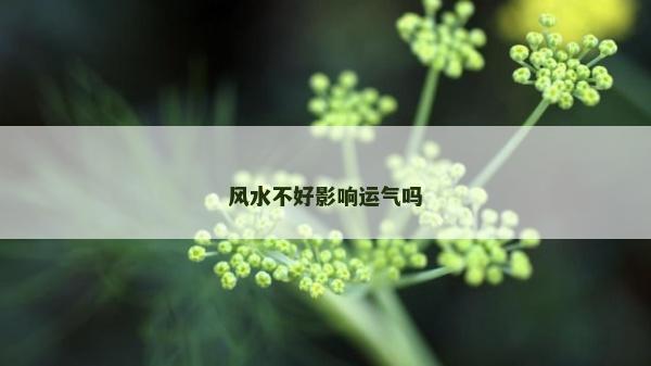 風水不好影響運氣嗎