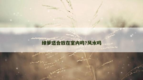綠蘿適合放在室內(nèi)嗎?風水嗎