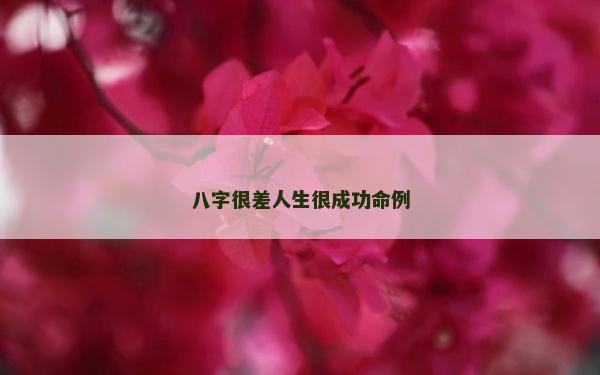 八字很差人生很成功命例
