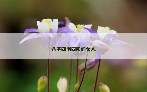 八字四陰四陽的女人