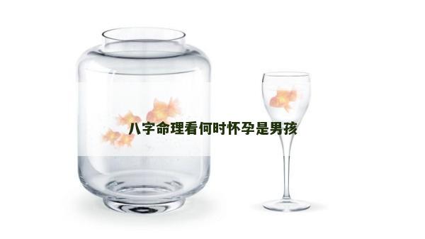 八字命理看何時懷孕是男孩