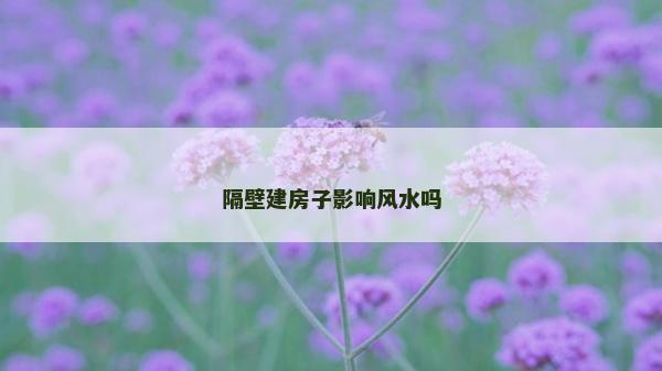 隔壁建房子影響風水嗎