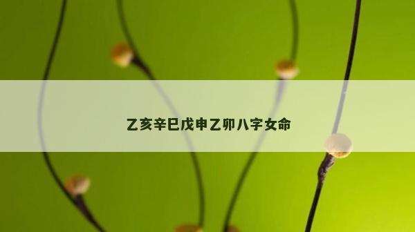 乙亥辛巳戊申乙卯八字女命