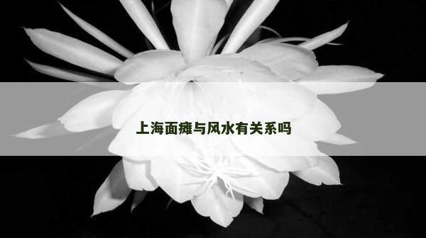 上海面癱與風水有關系嗎