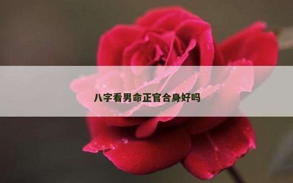八字看男命正官合身好嗎