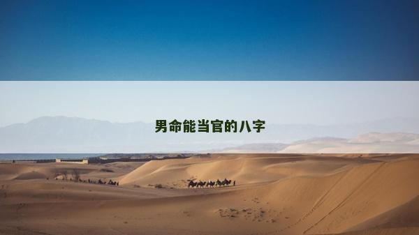 男命能當官的八字