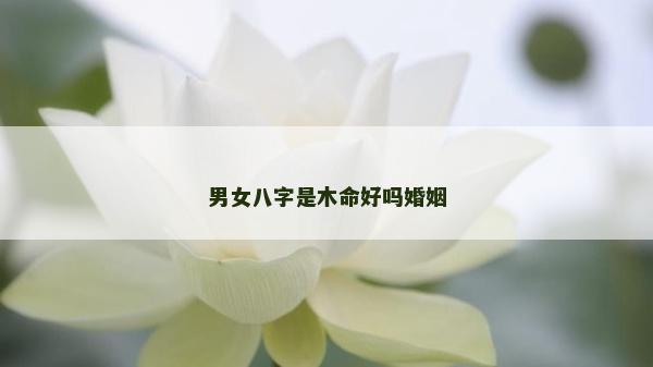 男女八字是木命好嗎婚姻