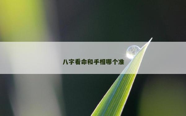 八字看命和手相哪個準