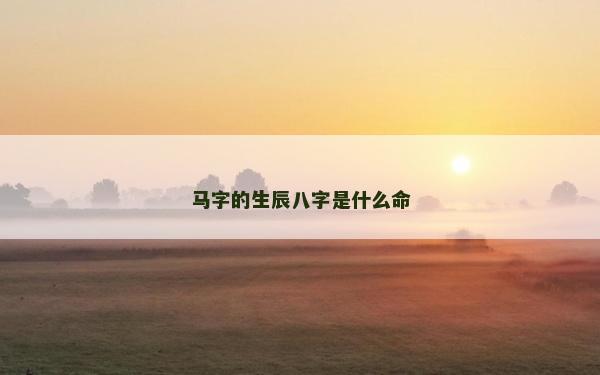 馬字的生辰八字是什么命