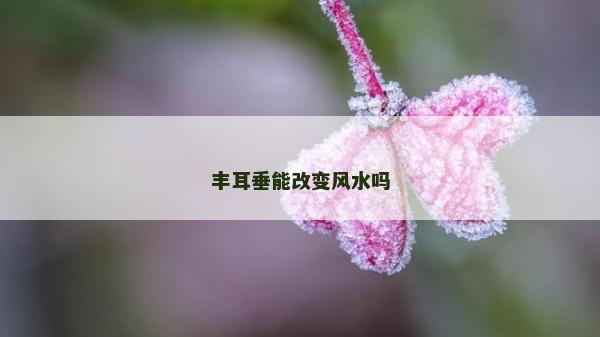 豐耳垂能改變風(fēng)水嗎