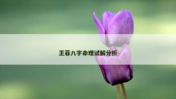 王菲八字命理試解分析