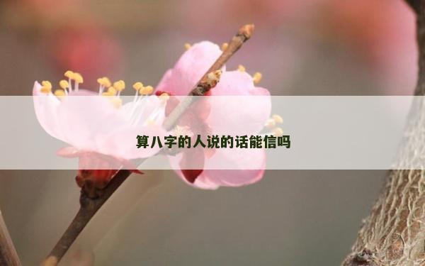 算八字的人說的話能信嗎
