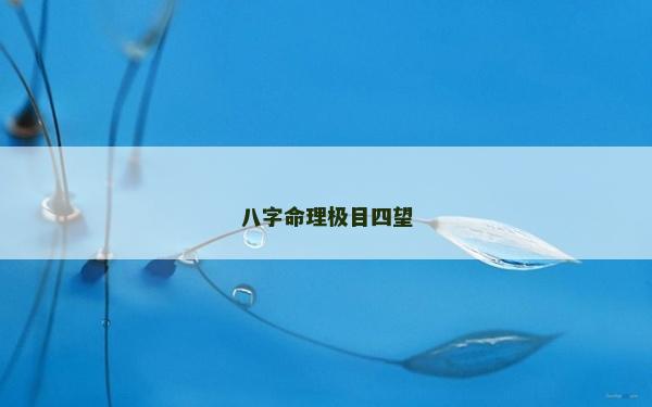 八字命理極目四望