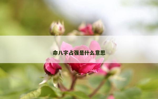 命八字占強是什么意思