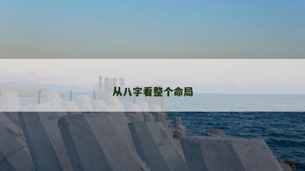 從八字看整個命局