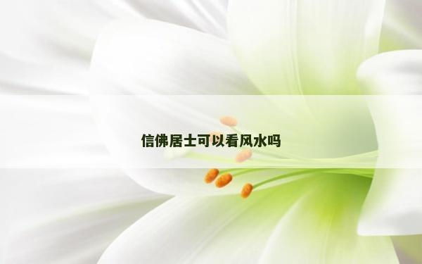 信佛居士可以看風(fēng)水嗎