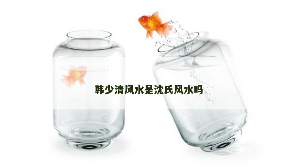 韓少清風水是沈氏風水嗎