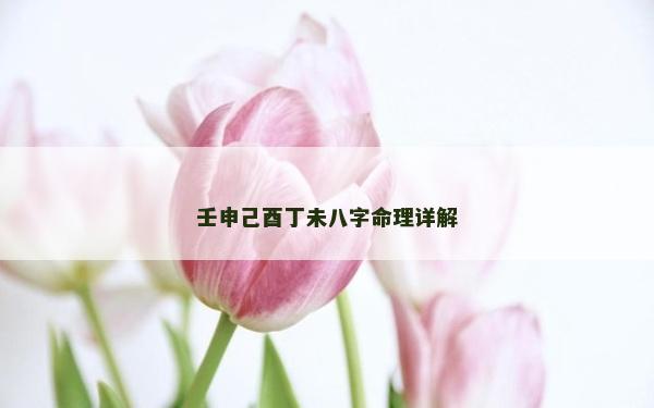壬申己酉丁未八字命理詳解 壬申己酉丁未八字命理詳解