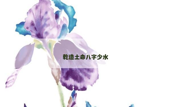 乾造土命八字少水