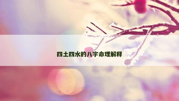 四土四水的八字命理解釋