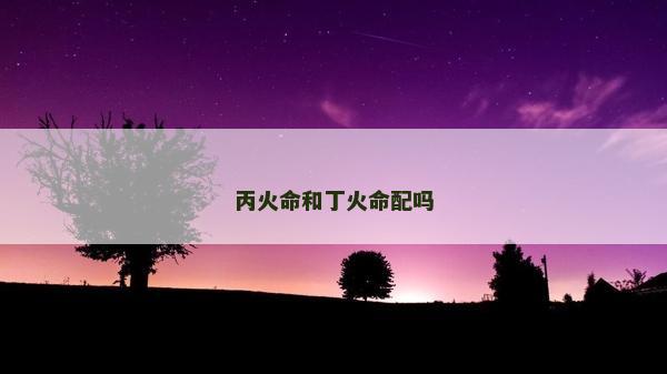 丙火命和丁火命配嗎