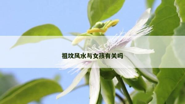 祖墳風水與女孩有關嗎