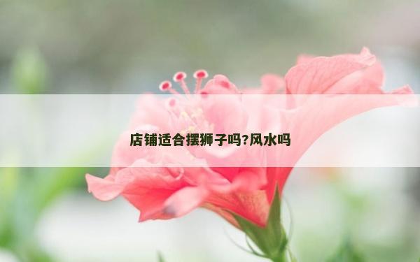 店鋪適合擺獅子嗎?風水嗎