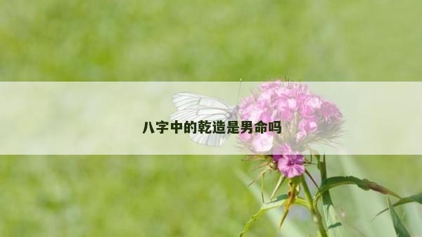 八字中的乾造是男命嗎