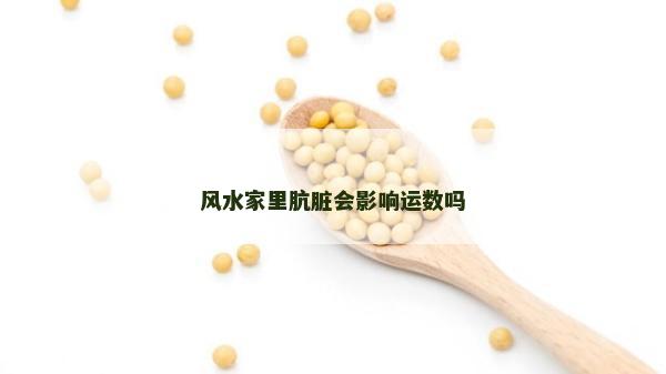風水家里骯臟會影響運數嗎