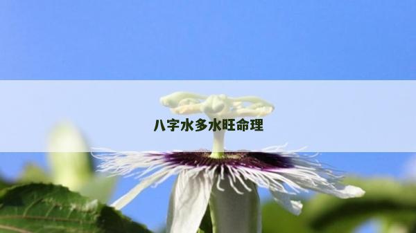 八字水多水旺命理 八字水多水旺命理