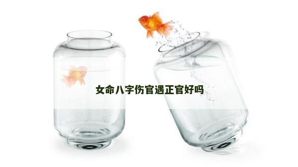 女命八字傷官遇正官好嗎 女命八字傷官遇正官好嗎
