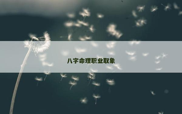 八字命理職業(yè)取象