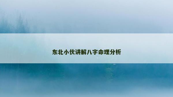 東北小伙講解八字命理分析