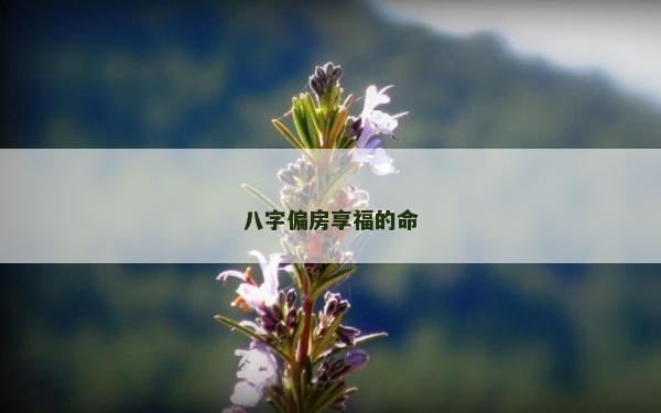 八字偏房享福的命