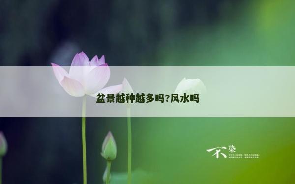 盆景越種越多嗎?風水嗎