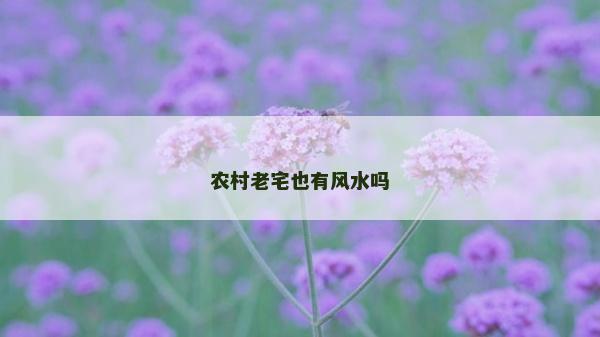 農村老宅也有風水嗎