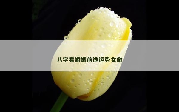 八字看婚姻前途運勢女命