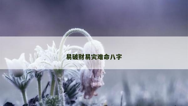 易破財易災難命八字