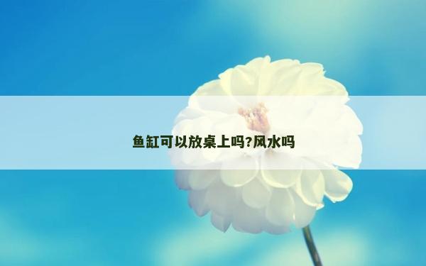 魚缸可以放桌上嗎?風(fēng)水嗎