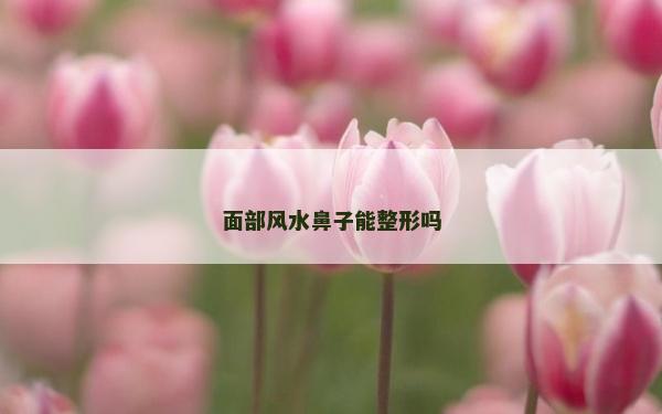 面部風水鼻子能整形嗎