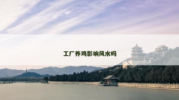 工廠養雞影響風水嗎